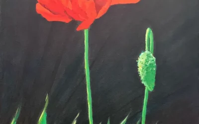 Coquelicot